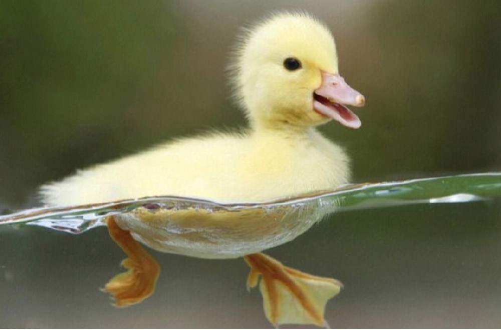 ​AOI智能检测仪分享低调做人